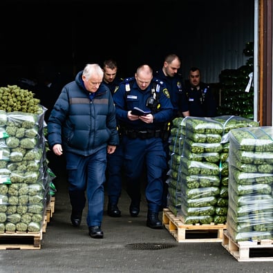 Two Seniors Nabbed in €10M Clare Cannabis Bust!