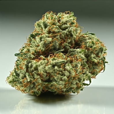 The Top 4 Misconceptions About Cannabis