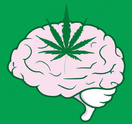 5 Things To Know About The Endocannabinoid System