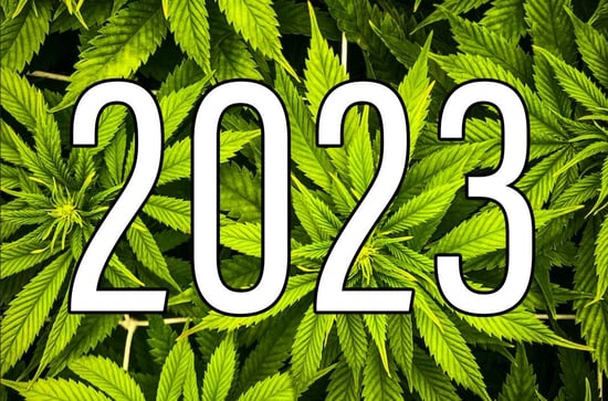 5 Things To Make Us Optimistic About Weed In Early 2023