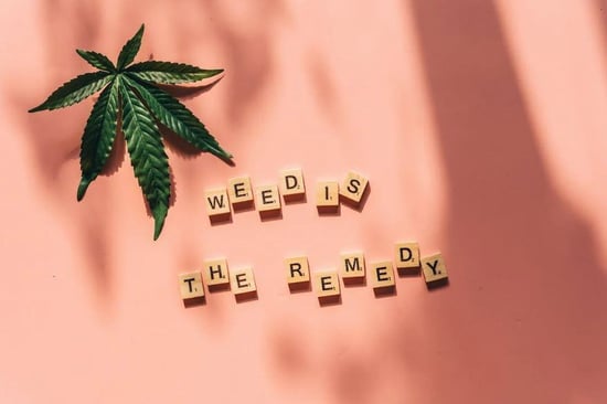 7 years in, what PA doctors still want to know about Medical Marijuana