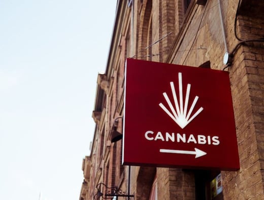 Authorities raid NY shops allegedly selling black-market Cannabis