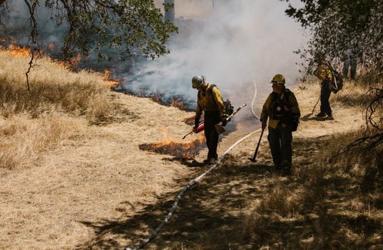 Cannabis farmers want to be included in wildfire recovery program