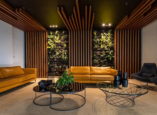 Cannabis lounges could soon be coming to Detroit