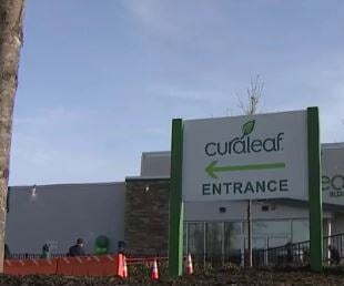 Curaleaf loses licenses to sell Recreational Marijuana