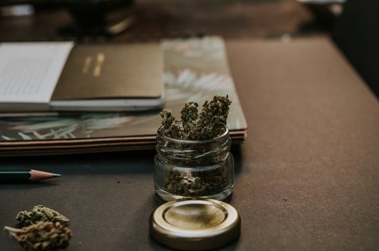 Honoring Bella Thorne’s Cannabis Advocacy, Forbidden Flowers, And How Weed Changed Her Life