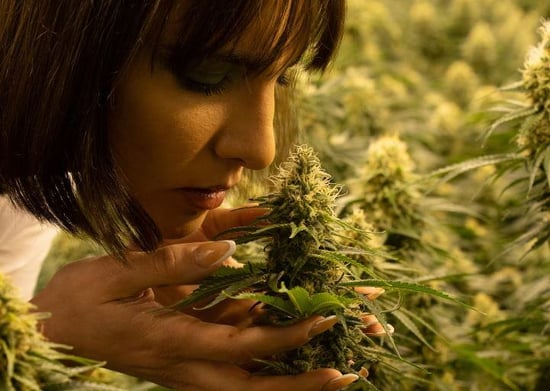 It’s time to take women’s buying power seriously in Cannabis