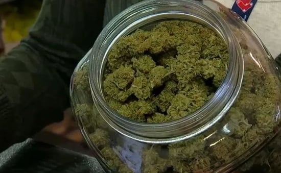 Legalizing Marijuana in Ohio: Debate over health impact