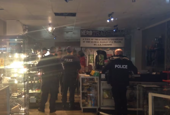 Marijuana activist accused of not reporting $2.5M in sales, faces huge tax penalties