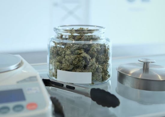 Maryland’s first week of adult-use Cannabis Sales tops $20M