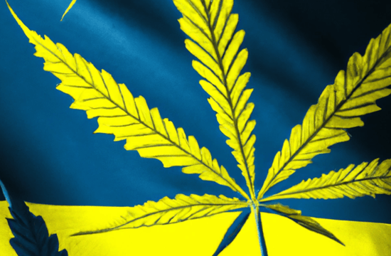 Medical Cannabis Legalization Nears Approval in Ukrainian Parliament