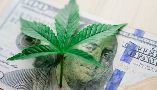 Michigan Cannabis market nets $60M windfall for local governments