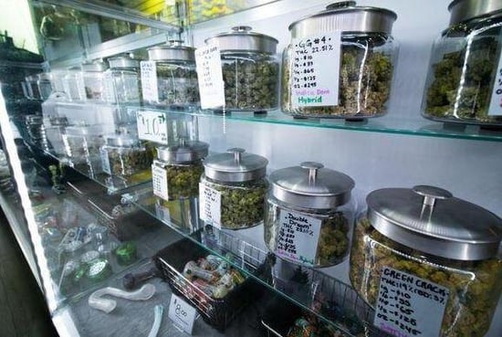 SD Medical Cannabis cards top 11,500, well ahead of Dept of Health projections