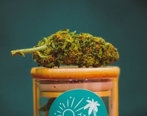 What does the start of Missouri recreational Marijuana sales mean for the Metro East?