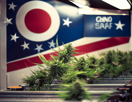 Ohio Cannabis Market Soars To $76M In Less Than 2 Months But Michigan Remains The Leader