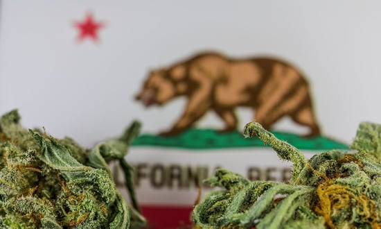 Why Everyone Wants Cali Weed: Designing Facilities for Legendary Results