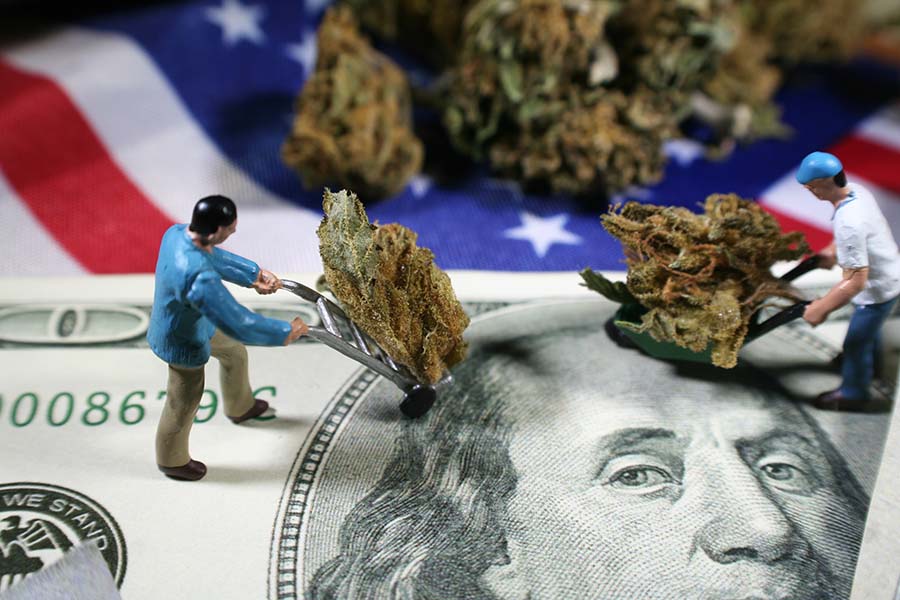 New cannabis jobs board in New York seeks to help legal weed industry staff up