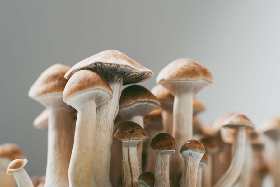 DEA Boosts Psychedelics Production For Research, Cannabis Quotas Hold Steady Ahead Of Rescheduling